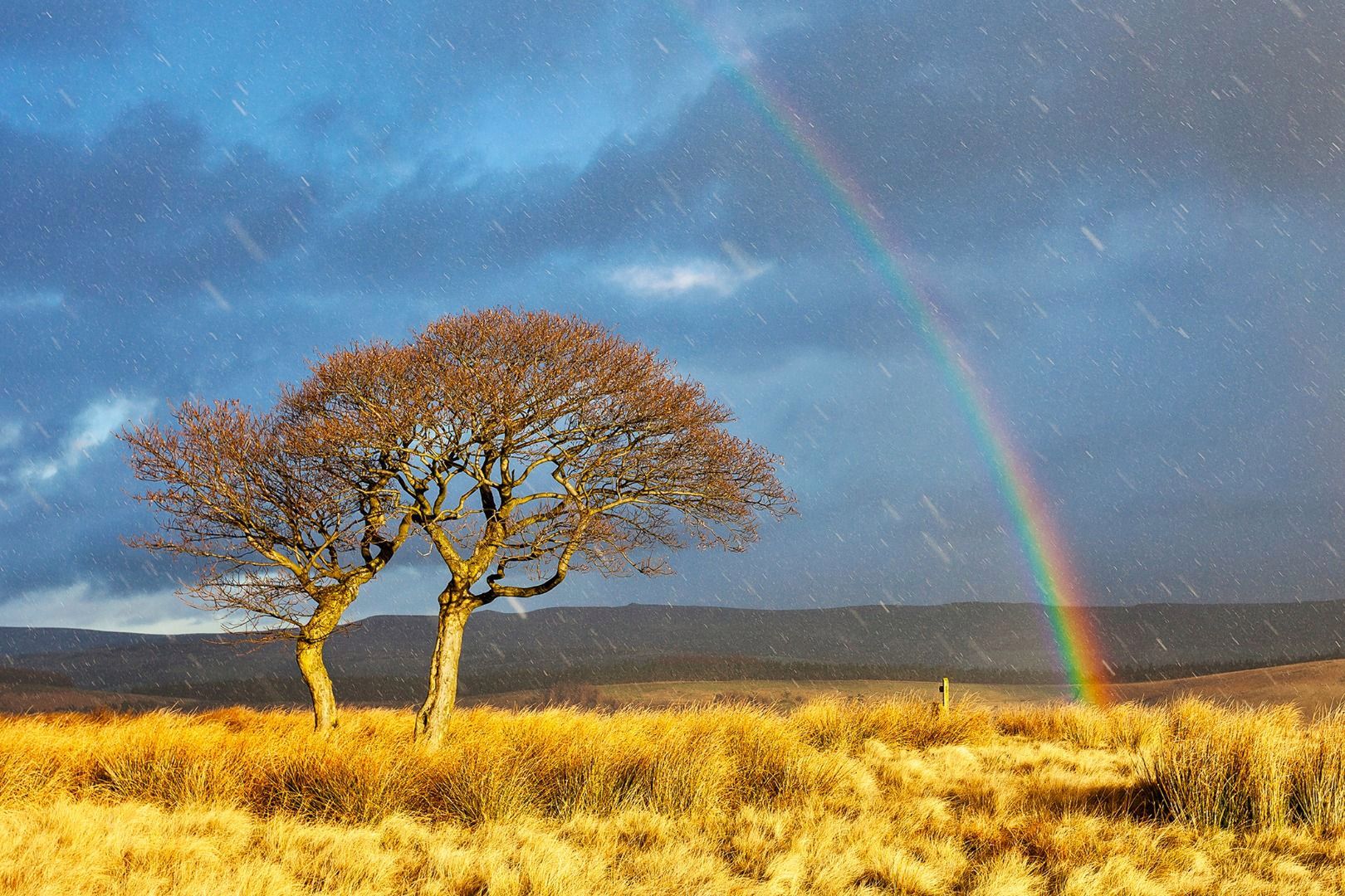 Oto najlepsze zdjęcia The RMetS/ RPS Weather Photographer of the Year 2016 18
