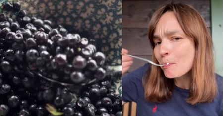 Ania Starmach rezygnuje z jagodzianek. Stawia na pochwałę prostoty