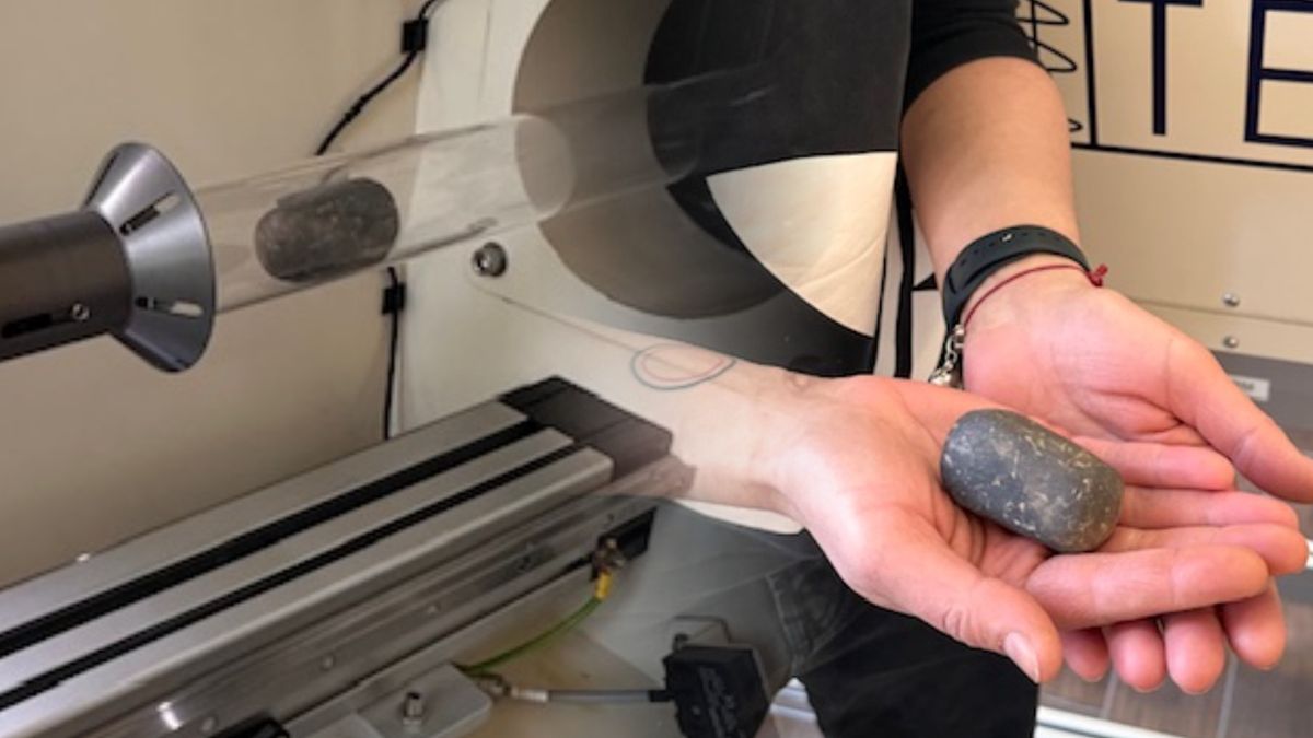 Grzechotka sprzed ponad 2 tys. lat została przebadana tomografem