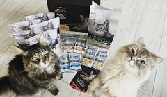 Streetcom ponownie dla marki Purina