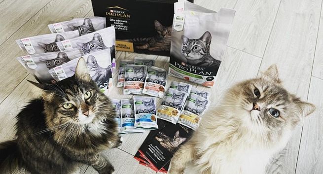 Streetcom ponownie dla marki Purina