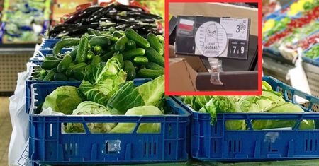 Rolnicy wkraczają do sklepów. Naklejają "Karnego Ogórasa". Oto powód