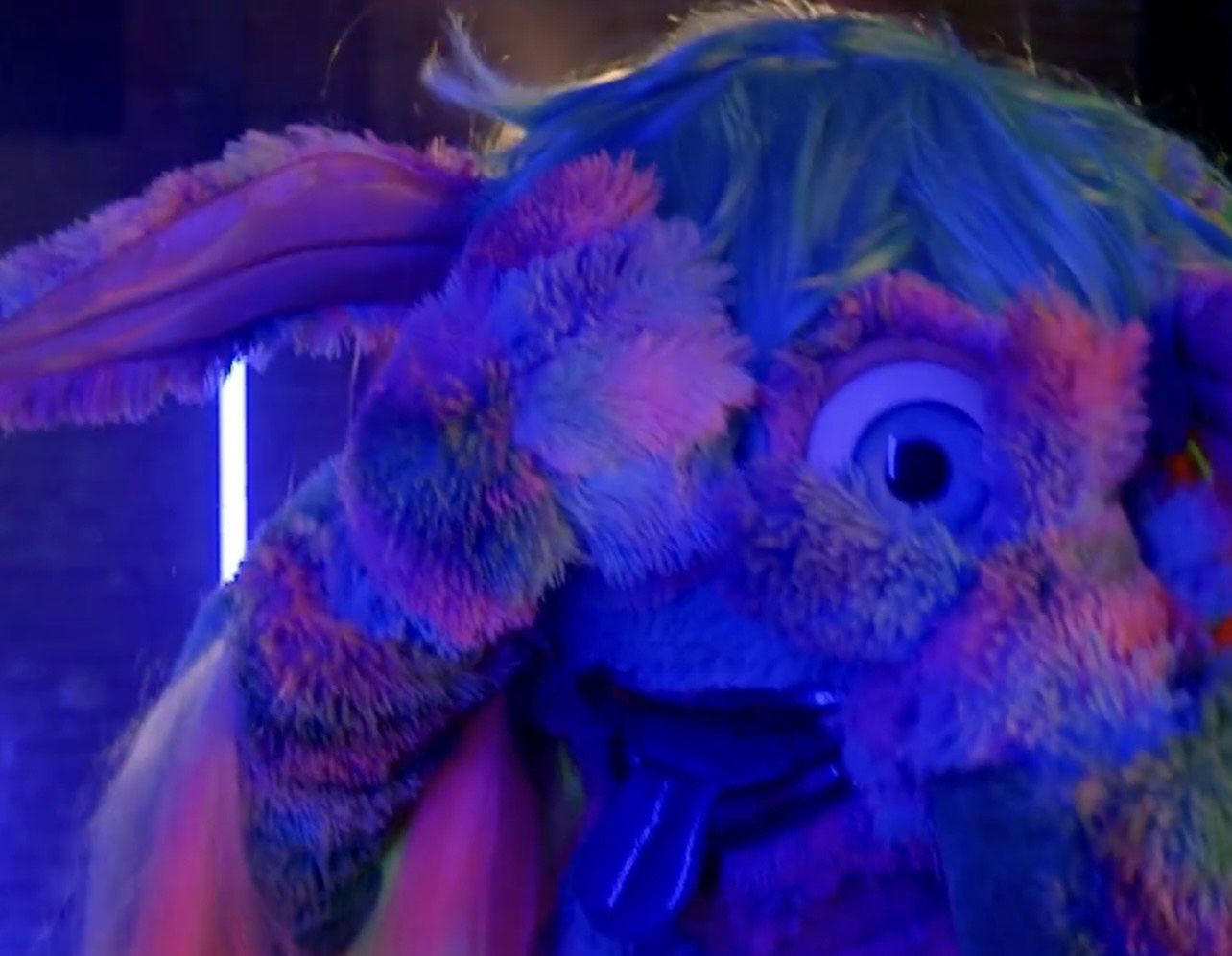 Celebryci przebrani za ważki, róże i włochate stwory w nowym "hicie" TVN. Zapowiedź "Mask Singer" robi wrażenie?