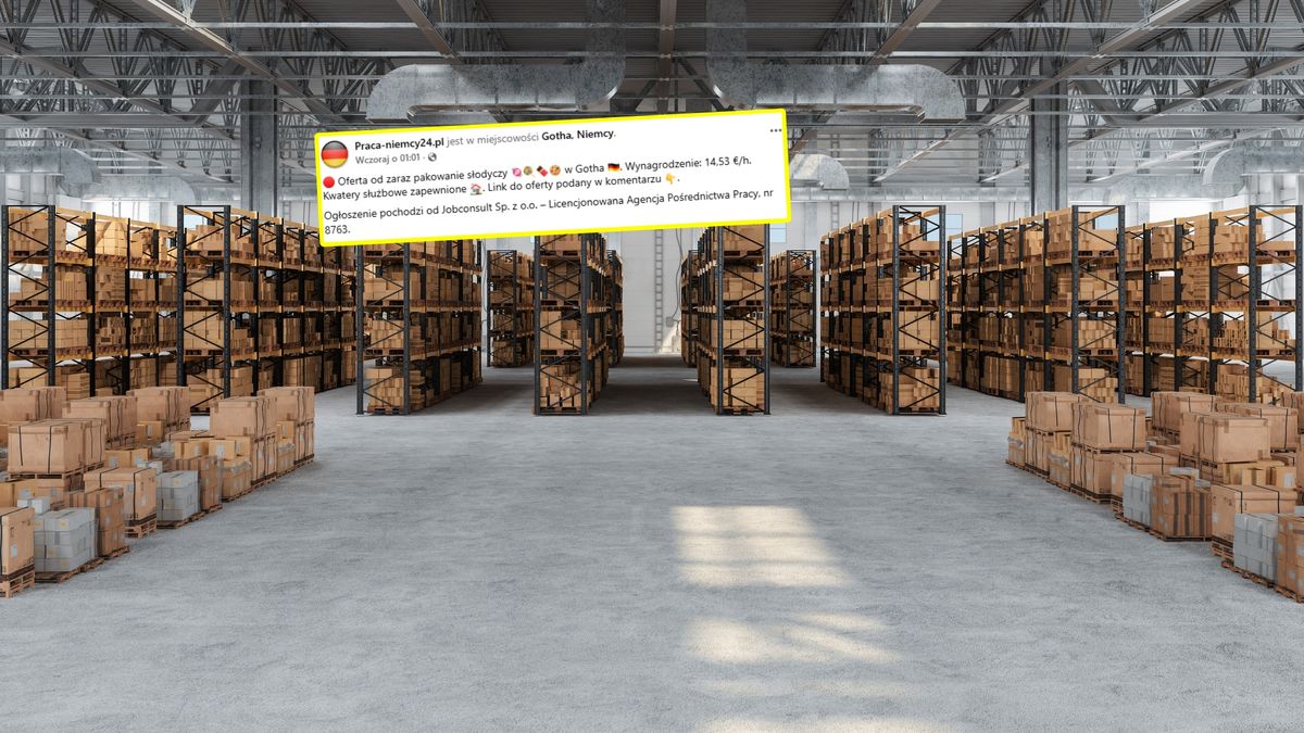 Niemcy szukają do pracy.