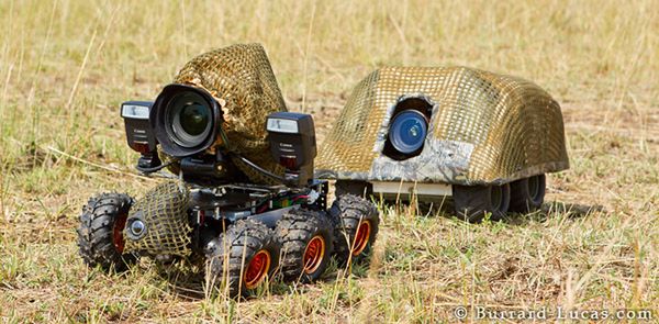 BeetleCam – opancerzona kamera dostarczy zdjęcia nawet z jaskini lwa 2