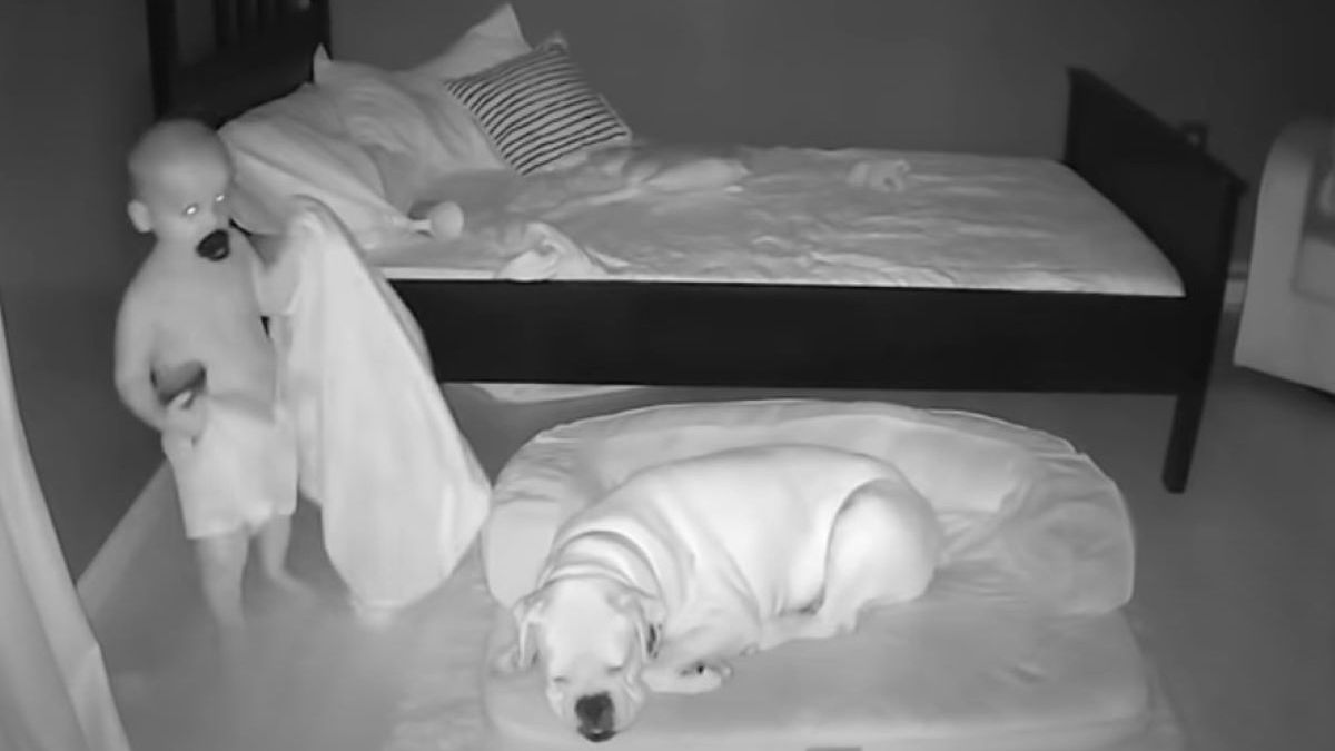 Nagranie dziecka z nocnej kamerki jest hitem internetu 