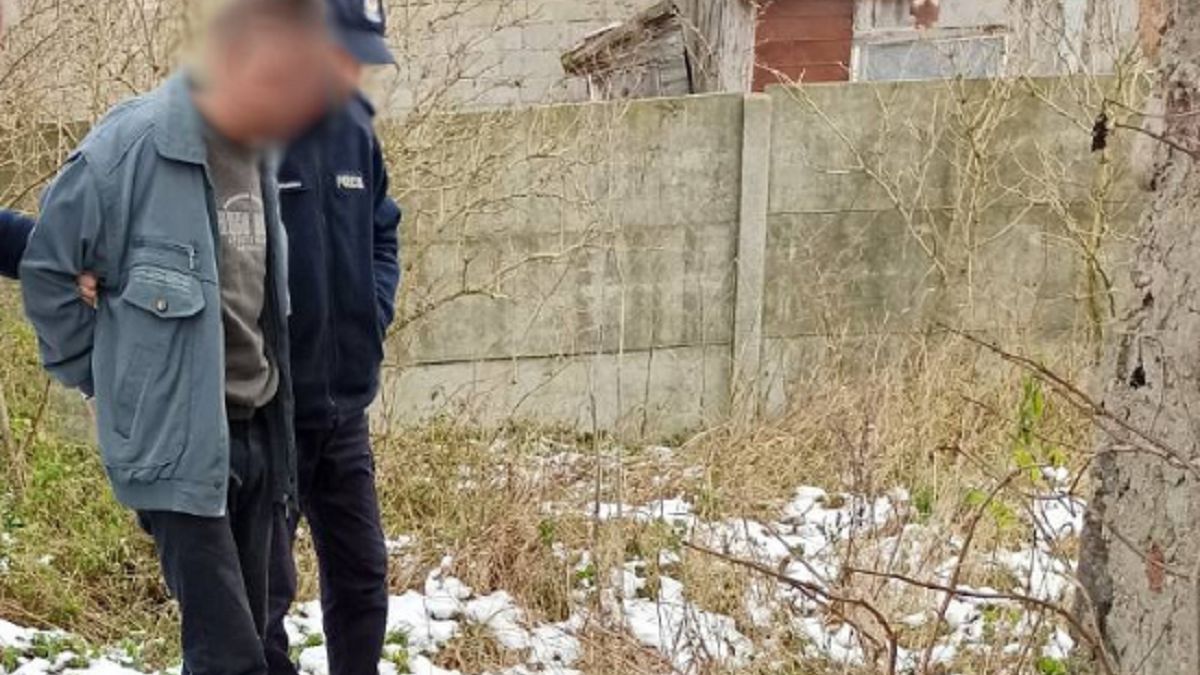 Szok. Tak potraktował własne psy. 