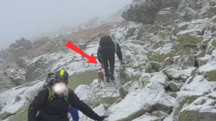 Nie do wiary. Tak szedł w Tatry. Zignorował nawet przewodnika