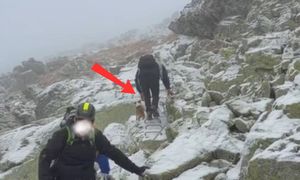 Nie do wiary. Tak szedł w Tatry. Zignorował nawet przewodnika
