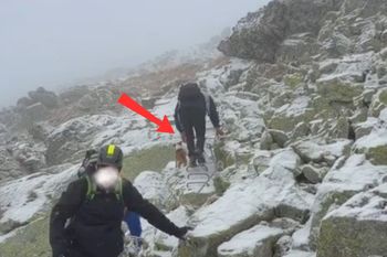 Nie do wiary. Tak szedł w Tatry. Zignorował nawet przewodnika