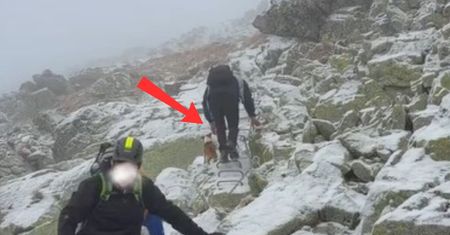 Nie do wiary. Tak szedł w Tatry. Zignorował nawet przewodnika