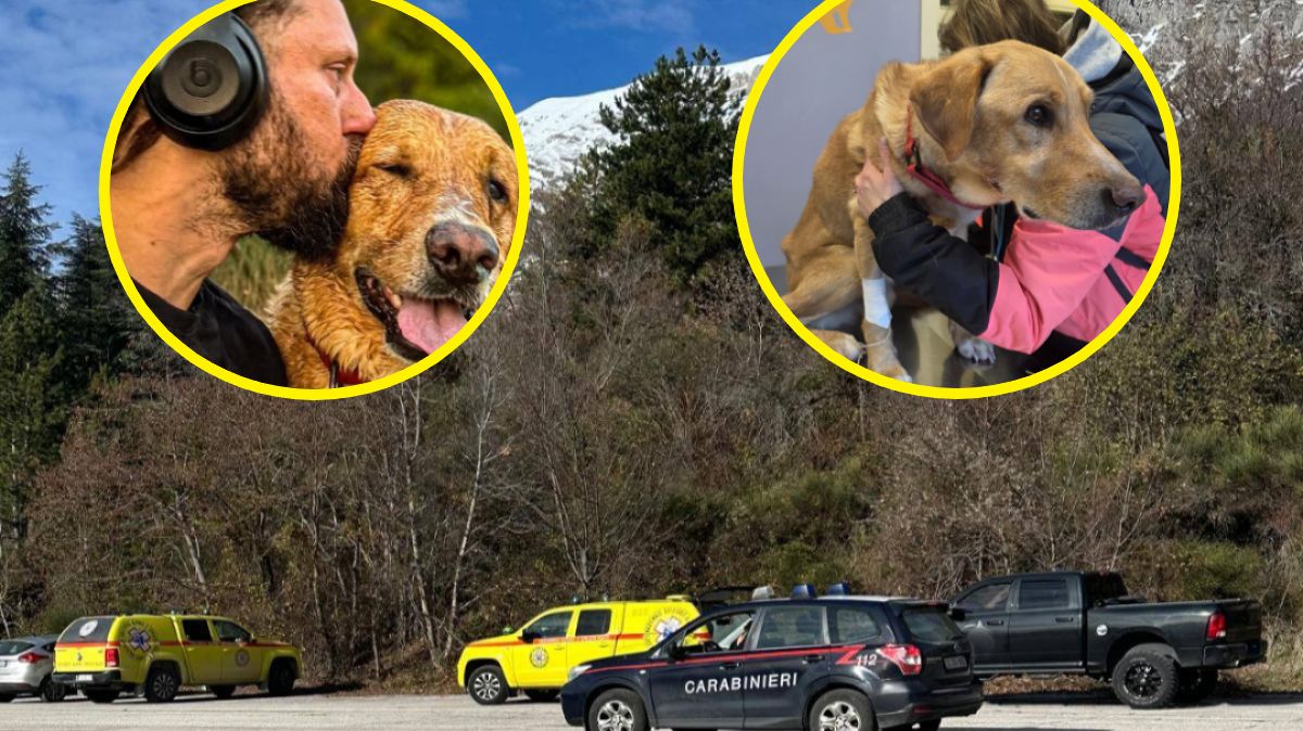 Pirat nie podjął tropu