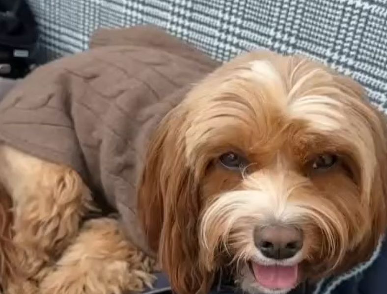 Przetakiewicz wypoczywa w górach