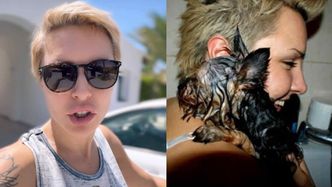 Blanka Lipińska drwi z osób, które składają pupilom życzenia z okazji Dnia Psa. "Są zdrowo JE*NIĘCI"