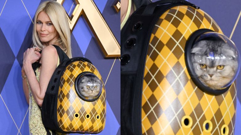 Widok gnieżdżącego się w plecaku kota Claudii Schiffer przeraził jej fanów i obrońców praw zwierząt