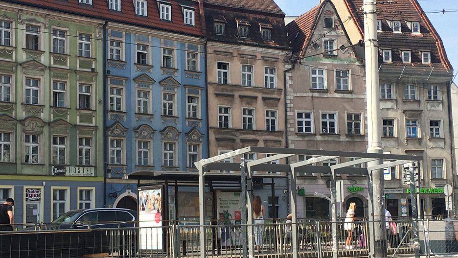 Wrocław. Zieleń i kwiaty wokół wiaty. Modernizuje się przystanek na Kazimierza Wielkiego