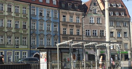Wrocław. Zieleń i kwiaty wokół wiaty. Modernizuje się przystanek na Kazimierza Wielkiego