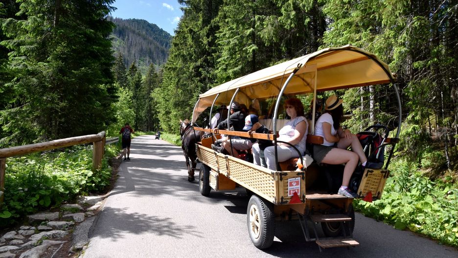 Lewica chce zakazu przewozu wozem konnym nad Morskie Oko