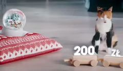 Miękkie lądowanie z kotem reklamuje pożyczkę w Providencie (wideo)
