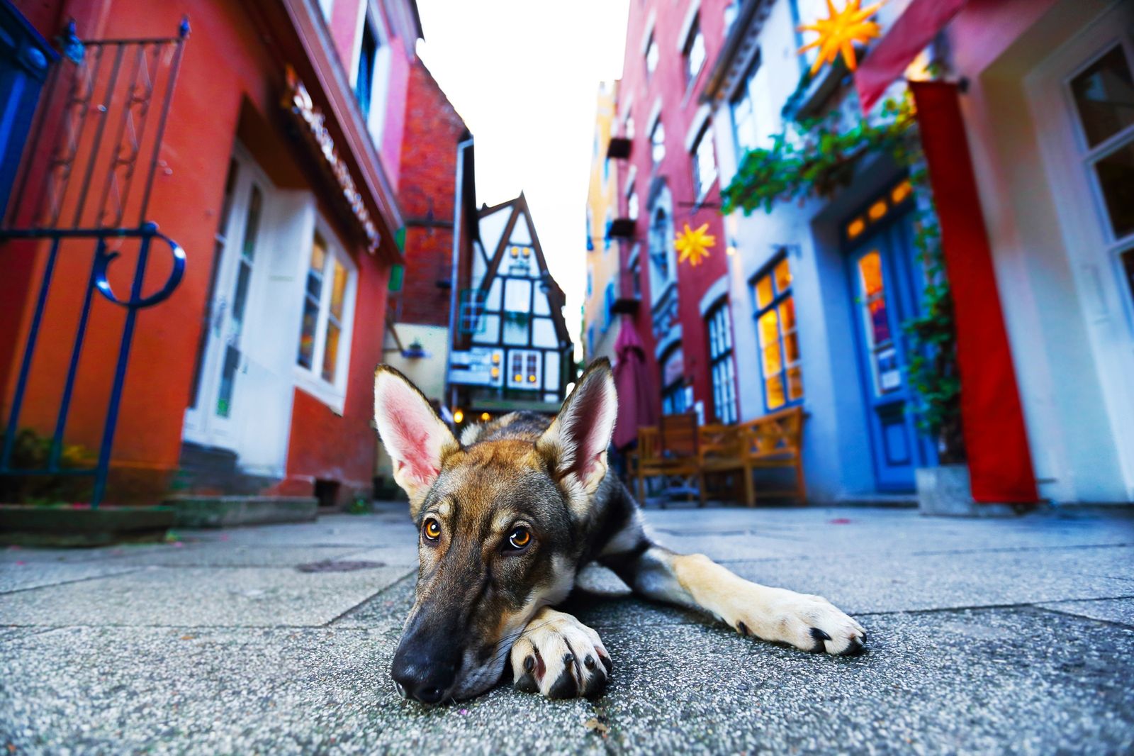 Urban International Photo Awards 2018: Łukasz Ziętara zwycięzcą w kategorii "Urban Art" 19