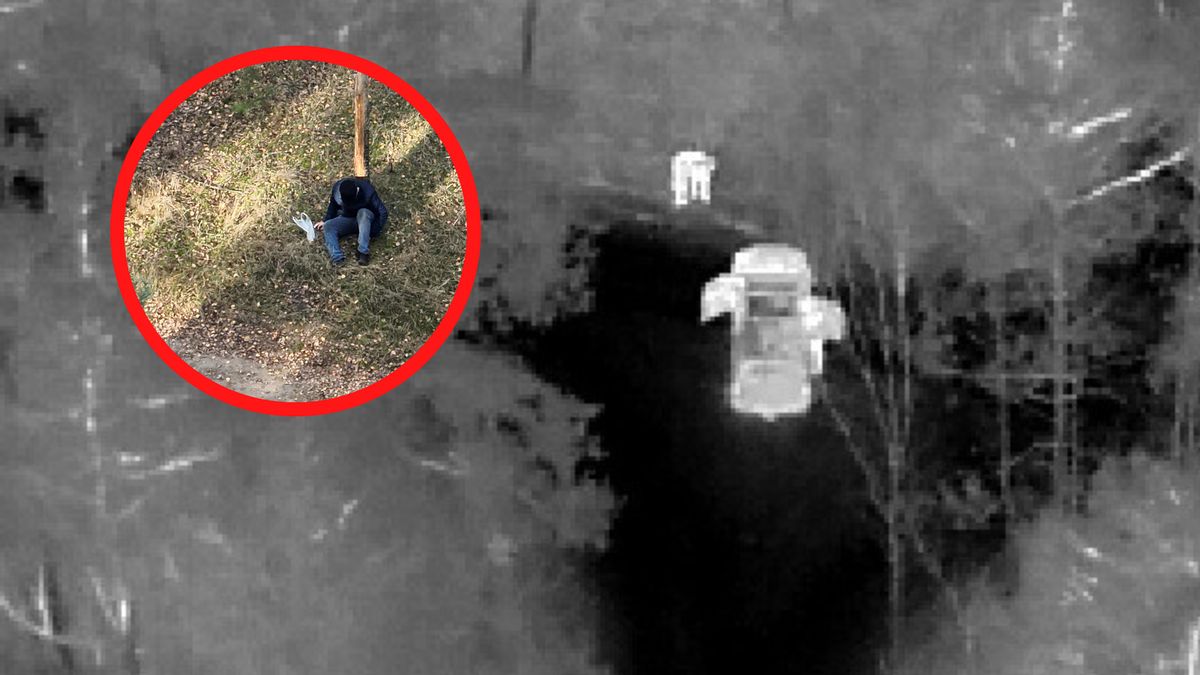 Leśnicy odnaleźli zaginionego mężczyznę