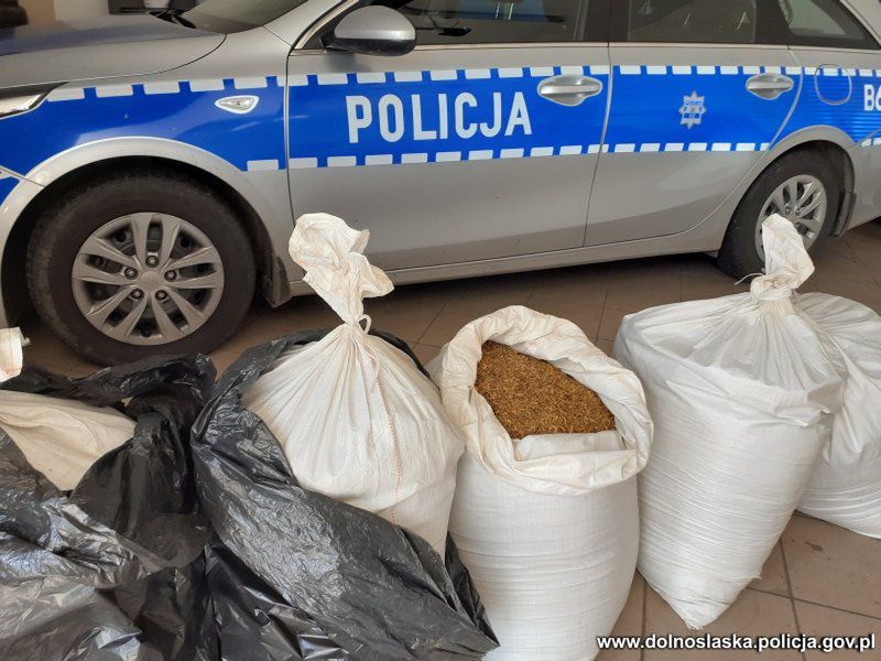 Bolesławiec. Nielegalny tytoń w rękach policjantów. Zabezpieczono aż 100 kilogramów