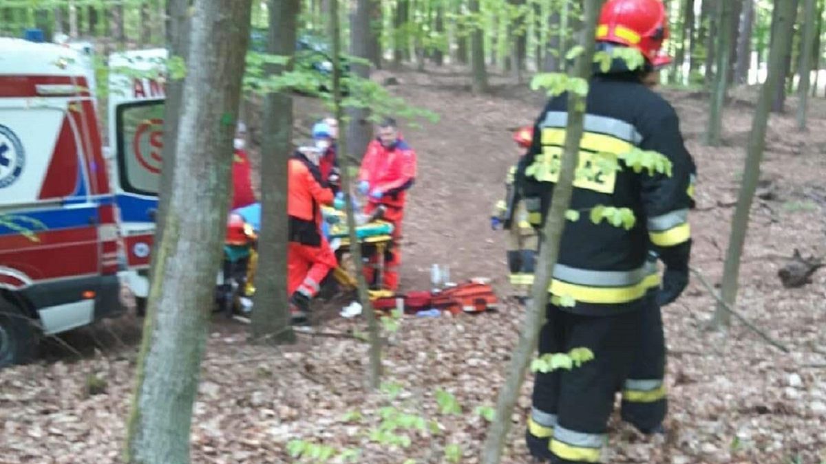 Kradł drewno w lubuskim. Mężczyzna gorzko pożałował