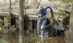 Poszukiwania 3,5-letniego Kacperka pod Bolesławcem wznowione. To już szósta doba dzialań służb