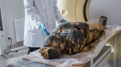 Mumia ciężarnej kobiety z zachowanym płodem. Polacy publikują nowe wyniki badań
