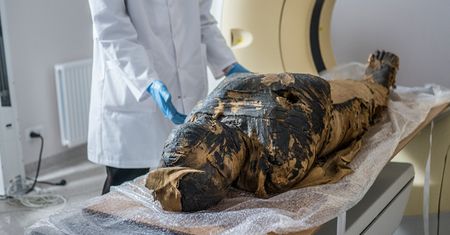 Mumia ciężarnej kobiety z zachowanym płodem. Polacy publikują nowe wyniki badań