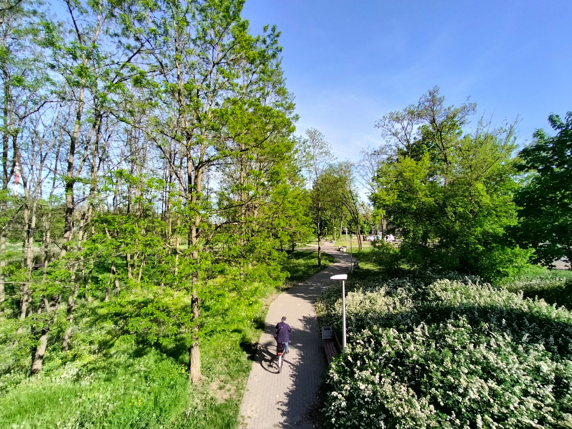 realme 9 to smartfon świetnie wyceniony, ale... nieopłacalny. Już tłumaczę 65