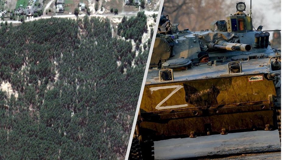 Zełenski o rosyjskich torturach. Na zdjęciu po lewej las w Izium