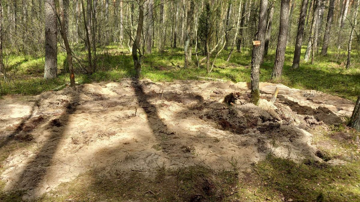 Rosyjski pocisk w połowie grudnia spadł w lesie pod Bydgoszczą