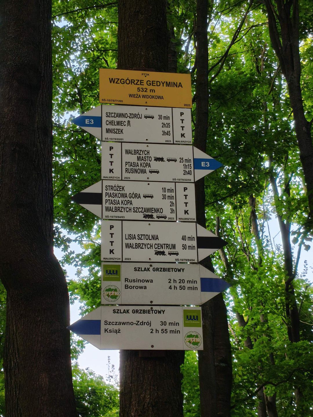 Zbieg szlaków na Wzgórzu Gedymina w Szczawnie-Zdroju