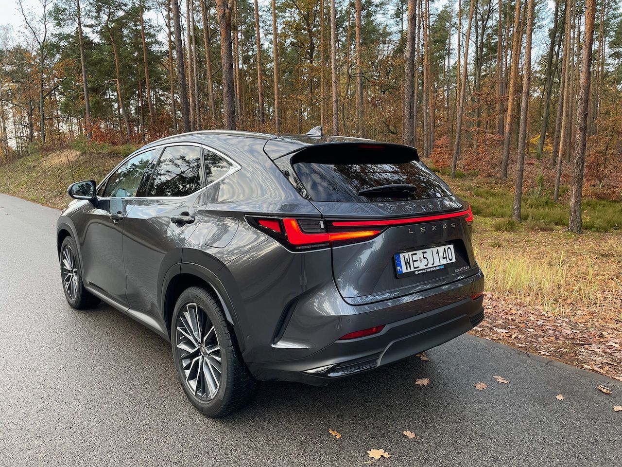 Lexus NX450h+