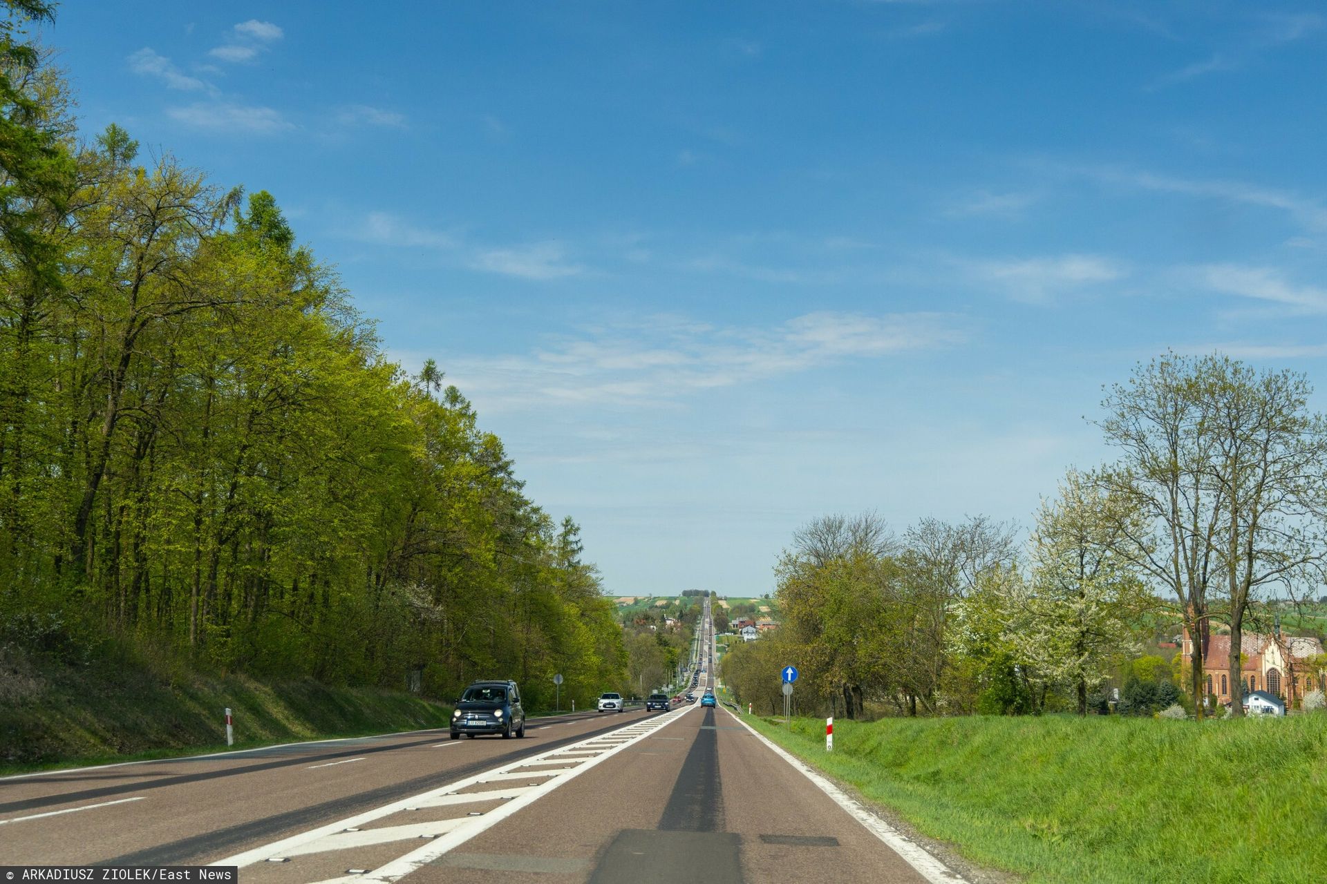 Wycinka 115 drzew w Radomiu: kontrowersje wokół inwestycji
