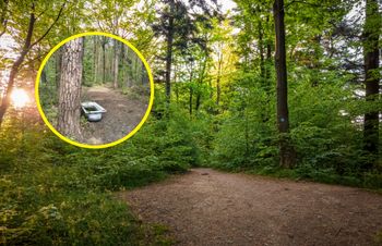 Wypatrzyli ją w lesie. "W kąpielach leśnych zupełnie nie o to chodzi"