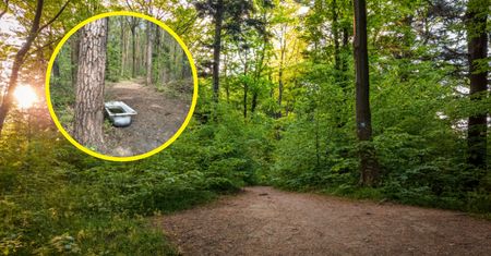 Wypatrzyli ją w lesie. "W kąpielach leśnych zupełnie nie o to chodzi"
