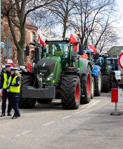 Polska zalana ukraińskim zbożem. "Problem jest ogromny"