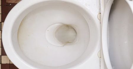 Wrzuć do toalety. Biel będzie aż razić po oczach