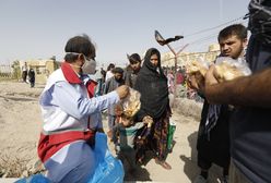 Afganistan. ONZ ostrzega: Wyścig o jedzenie już się rozpoczął