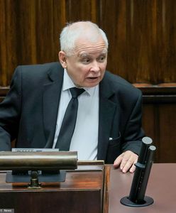 Bez Konfederacji rządu nie będzie. Referendum może nam się jeszcze przydać [OPINIA]