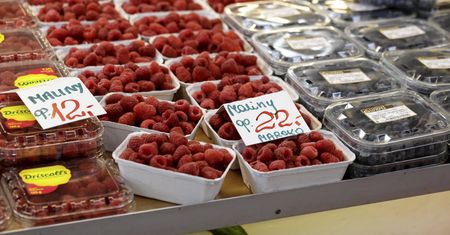 Zmowa cenowa na rynku malin? Będą państwowe kontrole. "Nie możemy ulegać presji"