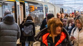 Pluskwy w pociągach. Panika wśród pasażerów i maszynistów