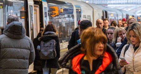 Pluskwy w pociągach. Panika wśród pasażerów i maszynistów