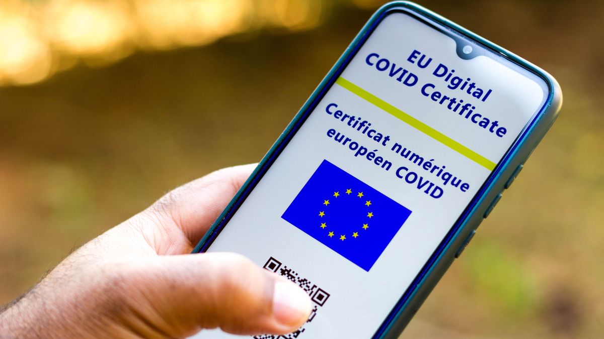 BRAZIL - 2021/07/13: In this photo illustration, the EU Digital COVID Certificate seen on a smartphone screen. (Photo Illustration by Rafael Henrique/SOPA Images/LightRocket via Getty Images)