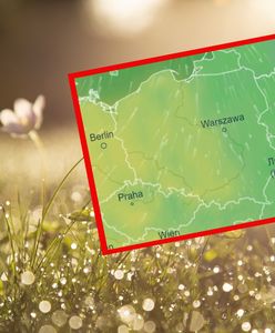 Nagły zwrot w pogodzie. Mamy najnowszą prognozę