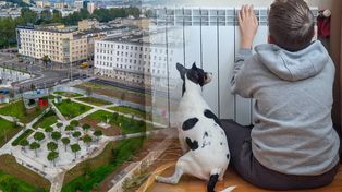 Polski atom może ogrzać Trójmiasto. "Chińczycy potrafią"