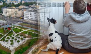Polski atom może ogrzać Trójmiasto. "Chińczycy potrafią"