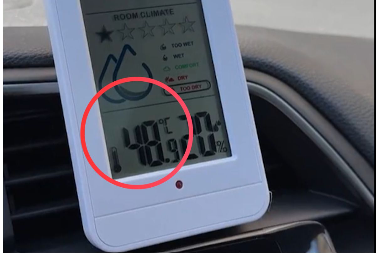 Jak szybko rośnie temperatura w samochodzie? Kilka chwil może kosztować życie